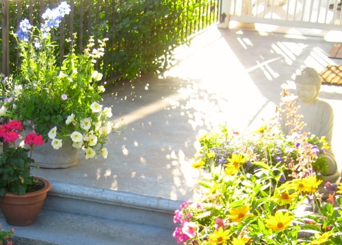 Porch in the sun. July 2014.