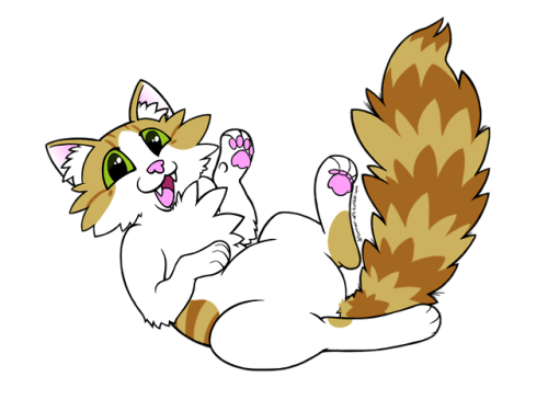 drtanner-art:I drew my mom’s cat and slapped him on a shirt. If you like him, you can also have him 