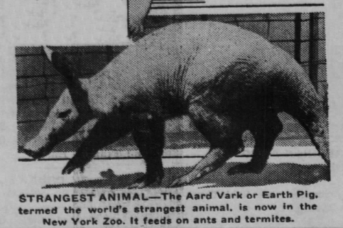 yesterdaysprint:  The Edinburg Daily Courier, Indiana, June 1, 1935