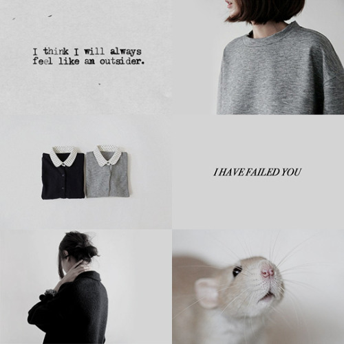 cerseilainnister:harry potter aesthetics: the marauders as a girl gang
