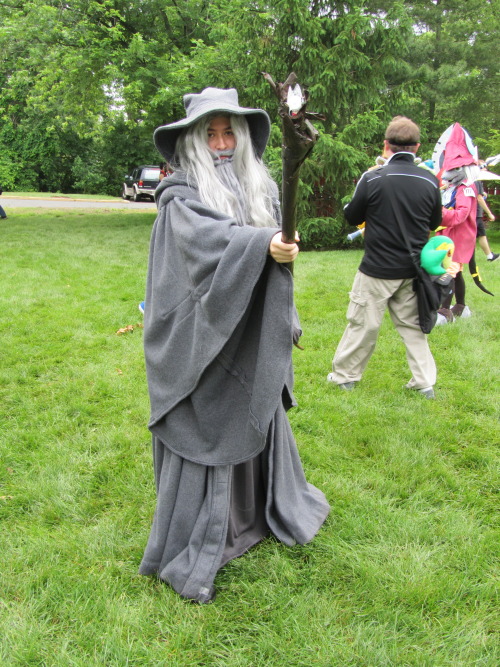 rhableahcar:   Spent Friday and Saturday walking around as Gandalf the Grey, which I think turned out alright, considering I’ve never cosplayed before. My friends were Galadriel and Radagast the Brown. I don’t know who Bilbo, Fili, and Kili are so