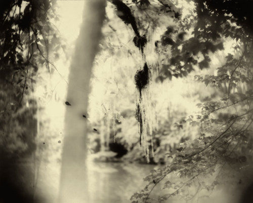 Sally Mann, title not given, 1998, from Deep South (Bulfinch, 2005)