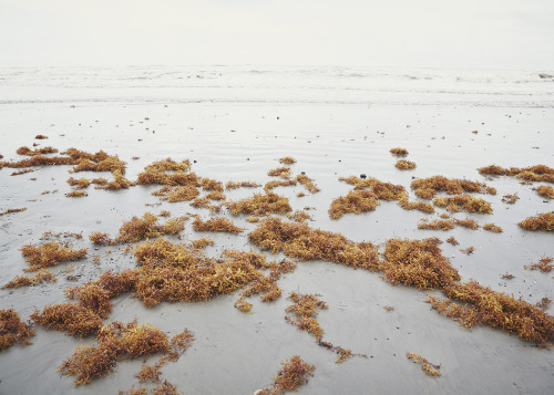 A visit to the Gulf in Galveston, Texas&hellip; I&rsquo;ve been to both east and west coasts