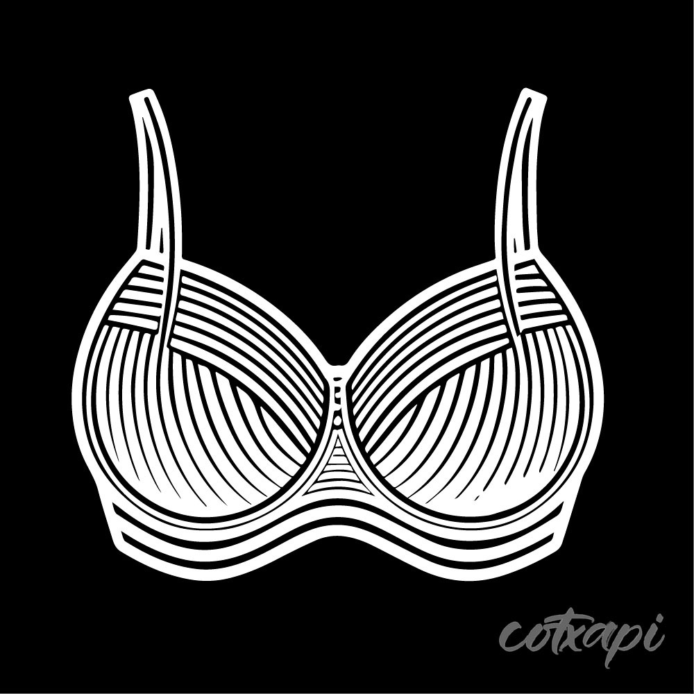 Ladies Bra Design Bikini outline Panty Underwear style in vector art