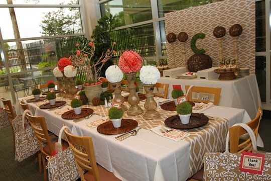 Jungle theme birthday party ideas