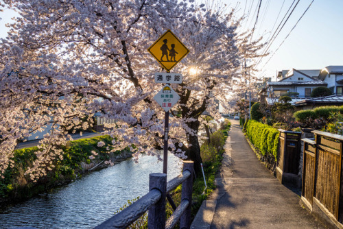 Kamisuwa by ubic from tokyo 長野県　上諏訪 Kamisuwa, Nagano Prefecture SONY RX1 http://flic.kr/p/TyfEYd