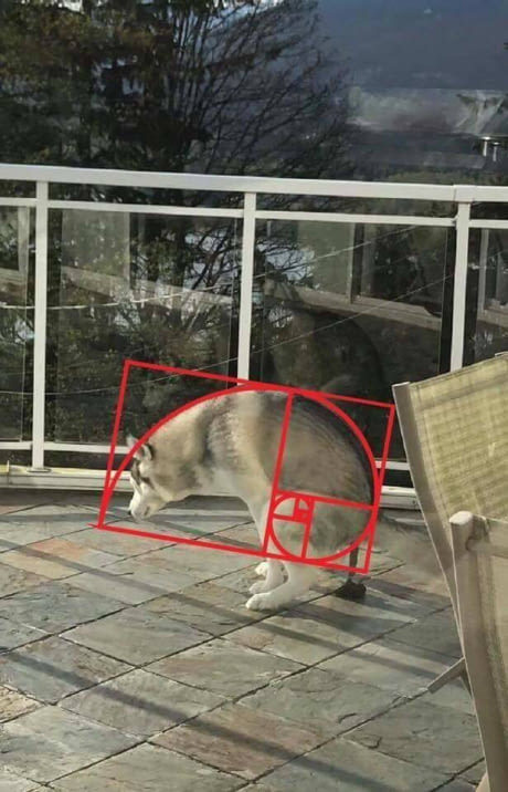 ı̶̆̑ͪ̋͗̑̉̏̾͐ͣͤ̆͊̿̎ͮͬ̚͏̸̢̥̮̤͉̱̬̺͕