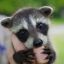 just-two-feedists-blog
