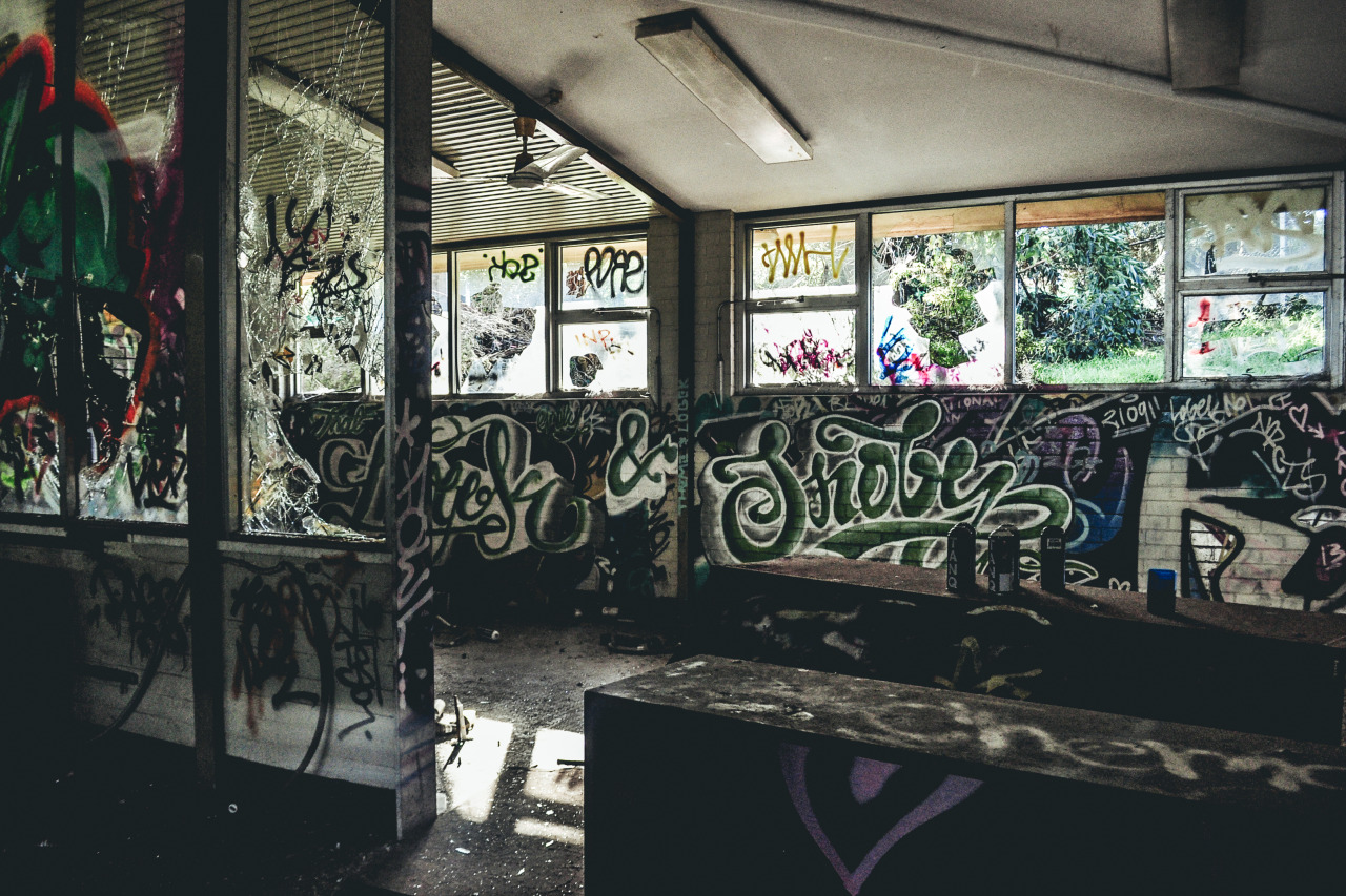 Bitches Love Vandals