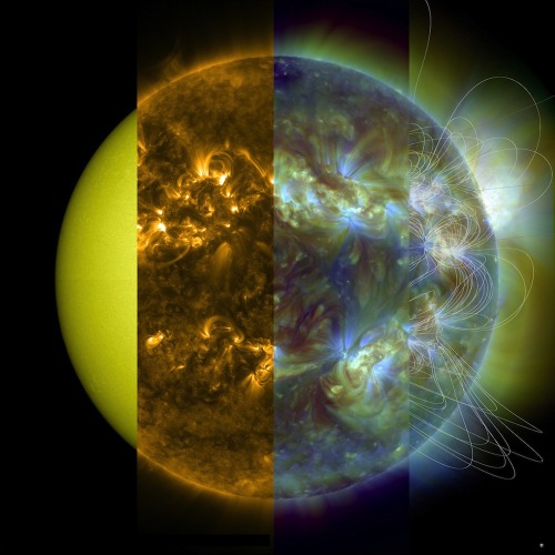 jtotheizzoe:via thenewenlightenmentage:Sun in Different WavelengthsDecode the solar rainbow pal