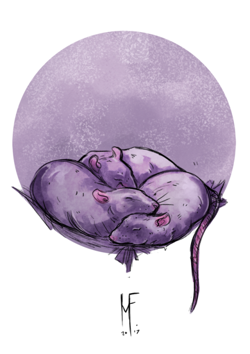 mortefran: November patron sketch request for @bundydraw: some sleepy wee bb rats. Made me miss my o