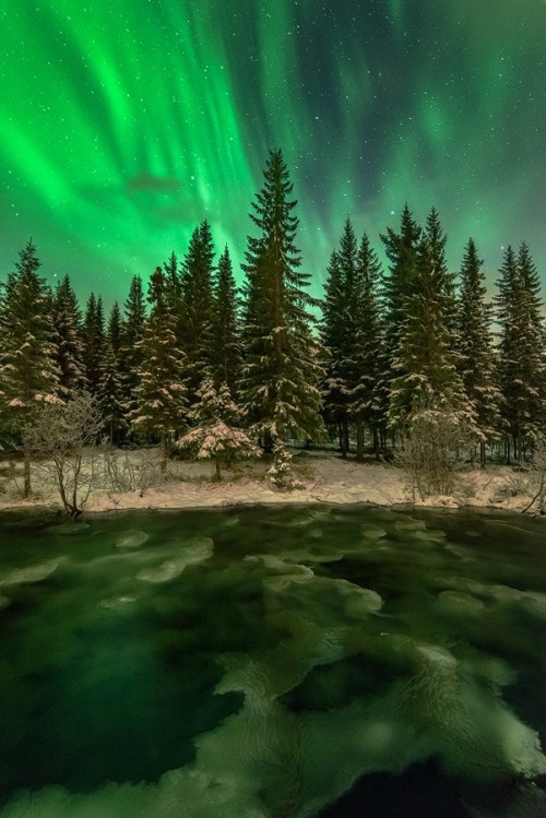 landture:  Green by zsooozs
