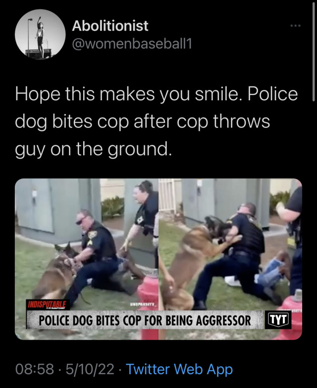 Hope this makes you smile. Police dog bites cop after cop throws guy on the ground