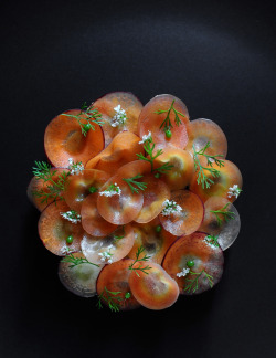 realityphotography:  culinary art at it’s finest… heirloom carrots cooked in exotic spices &amp; coconut milk, pickled avocado, topped with coriander flowers.chef justin yu of oxheart2013 © debora smail