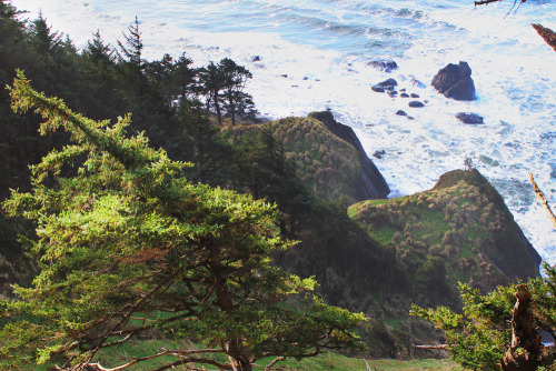 bright-witch:I am still obsessed with this view, I wish I could live there~ Oregon coast, photograph