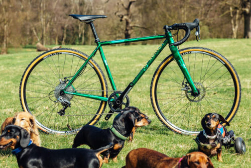 dontrblgme404: Cycle EXIF Update - Canine ‘Cross: Mercredi Bikes Sausage Dog CX