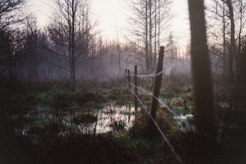 esteldin:Autumn II by E Lias on Flickr.
