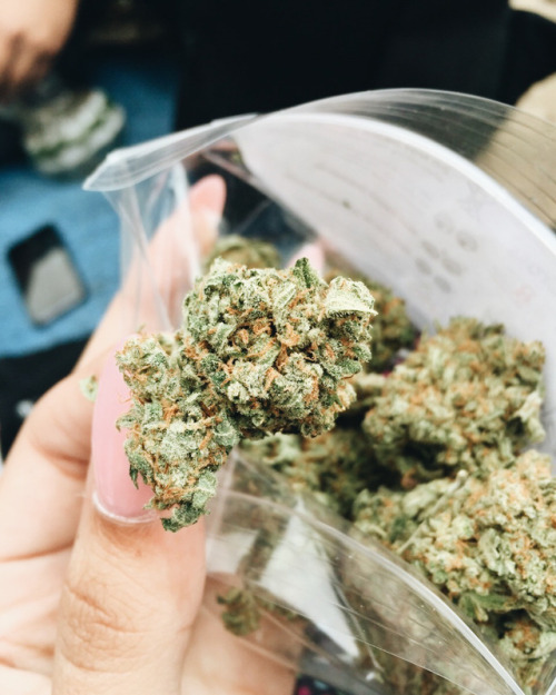 kushupmagazine:  marijuana