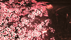 reapette:  The wind blows, the flowers float away. It's simply how things are.  