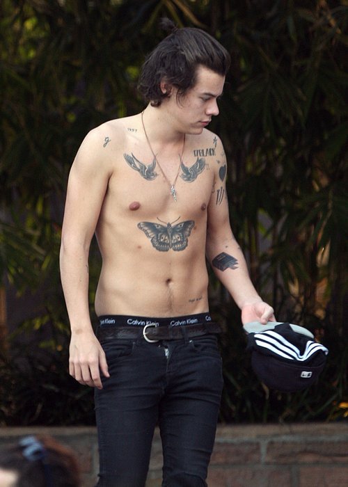 Harry Styles's Left Bicep Tattoos | Harry Styles Adds an 