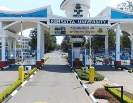 KU Students Warn Against Trippling University Fees