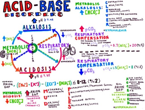 A perfect little Acid Base cheat sheetdownload all of my medical study guides here!