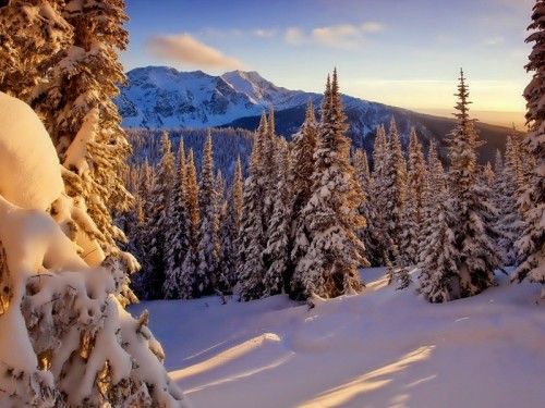 atraversso: Beutiful Winter by Betty Weinberger