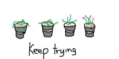 wxrnings:  Self-growth: Space is  important when growing plants. The plant needs room to grow. Without enough room, plants can stop or refuse to grow. Overcrowded plants are also likely to suffer. Finally, plants require time. They do not grow overnight.