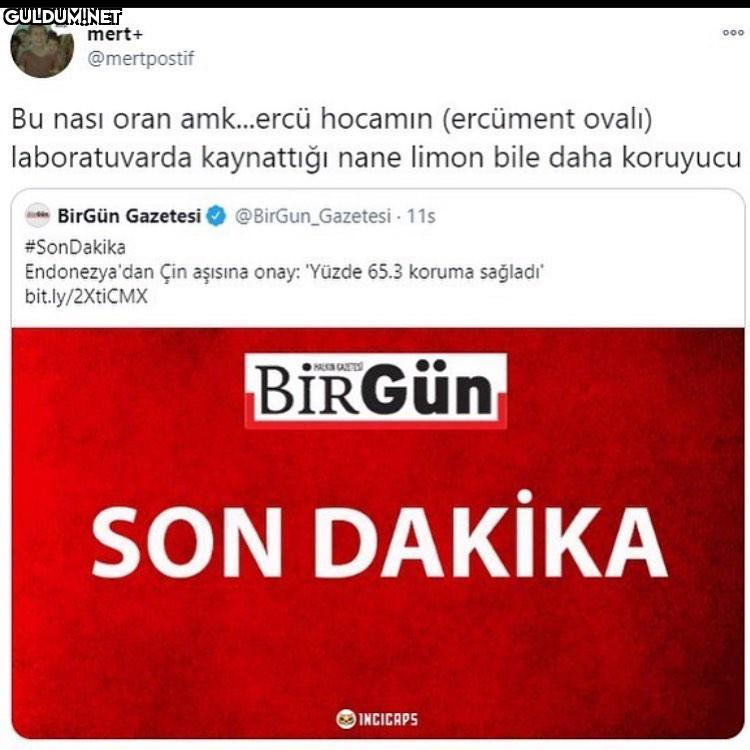 Sösndjajsjsskskldl mert+...