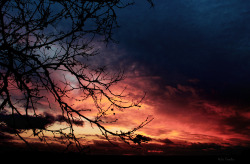 brutalgeneration:  Tramonto d’inverno (by