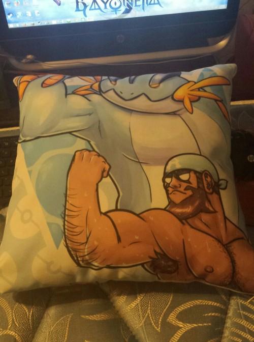 the-gaymer-who-conquered-all:  Couldn’t have gotten my cushion on a better date. Got my ORAS demo and my bara pillow today. Now to wait for the full game. 