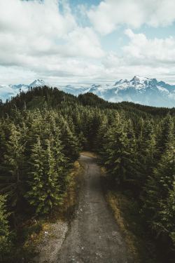 moody-nature:  Darrington, United States