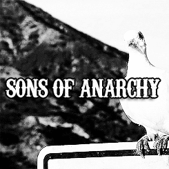 Porn photo  Sons of Anarchy: An Honest TV Trailer: Insp.