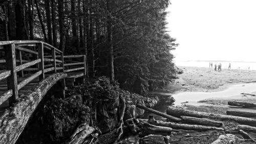 Tonquin Beach…Tofino, BC. Canada ~ Coast to Coast ~ Shades of Black & White ~ Abstraction