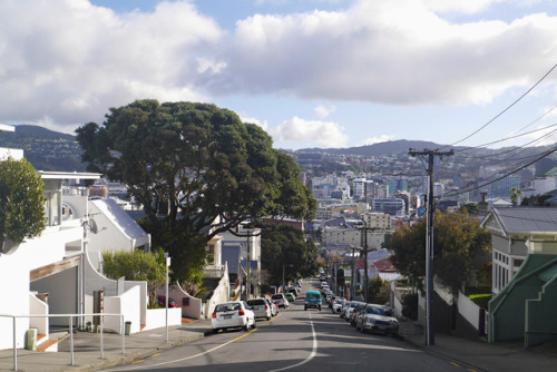 20190625 - Majoribanks St, Wellington