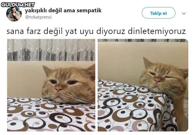 sana farz değil yat uyu...