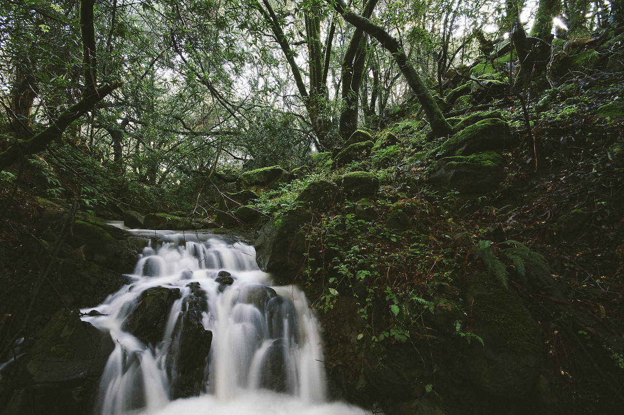 90377:  Waterfalls by Davor Desancic  