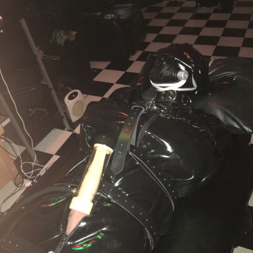 rubberelectropoppers:  Gimp in catsuit and gloves, then rubber straitjacket, and placed inrubber sleepsack. Strapped down, fed poppers, and Venus milked which produced 2 samples in 15 minutes. 