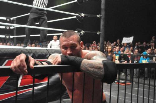 rwfan11:  “But maaaaaa, I don’t want to wrestle today.” -Randy Orton