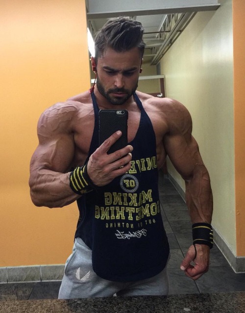Adonis Files
