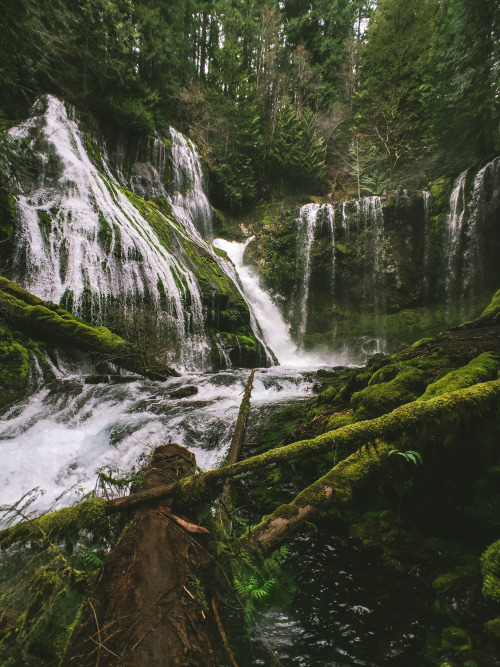 spudthesoundguy:Panther Creek Falls Prints available upon request. Anything from my website or Insta