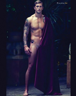 taolucidity:  Dan Osborne 