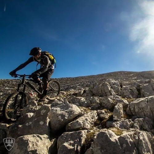 bikes-bridges-beer: Land of rocks. Hard to find a way through. #bikefex #graz #austria #mountainbik