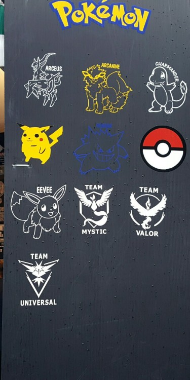 Team Valor, Team Mystic, and *looks at smudged writing on hand* Team Universal.