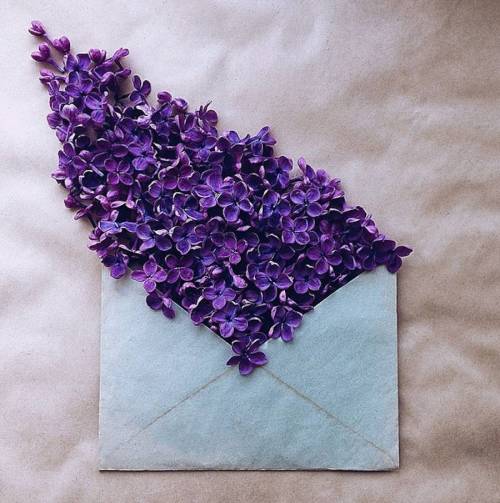 culturenlifestyle:  Flower Bouquets in Vintage EnvelopesKiev-based artist Anna Remarchuk showcases stunning images of her flower bouquets inserted in envelopes on her Instagram account. Remarchuk delicately styles lush flowers into vintage envelopes,