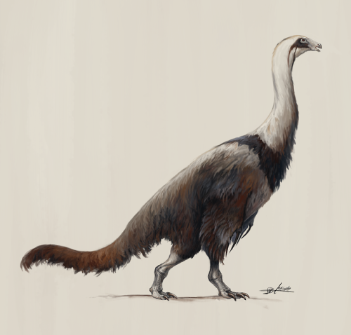 thewoodparable:Here’s an illustration of the therizinosaur Erlikosaurus andrewsi done for an article