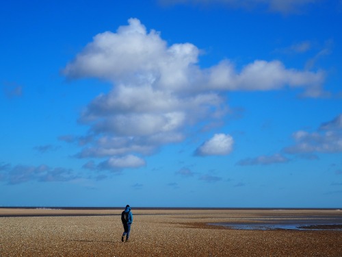 Gun Hill, North Norfolk13th March 2022