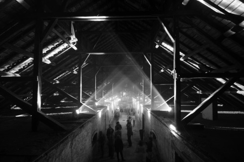 Covered market and exhibition spaceSchiltigheim • FranceBy Dominique Coulon &amp; Asso