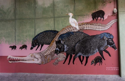 Mural in Orientarium Aleksandra Czudżak 