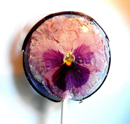 culturenlifestyle: Ethereal Lollipops Hold Edible Flowers Inside Pittsburg-based boutique Sugar Bake